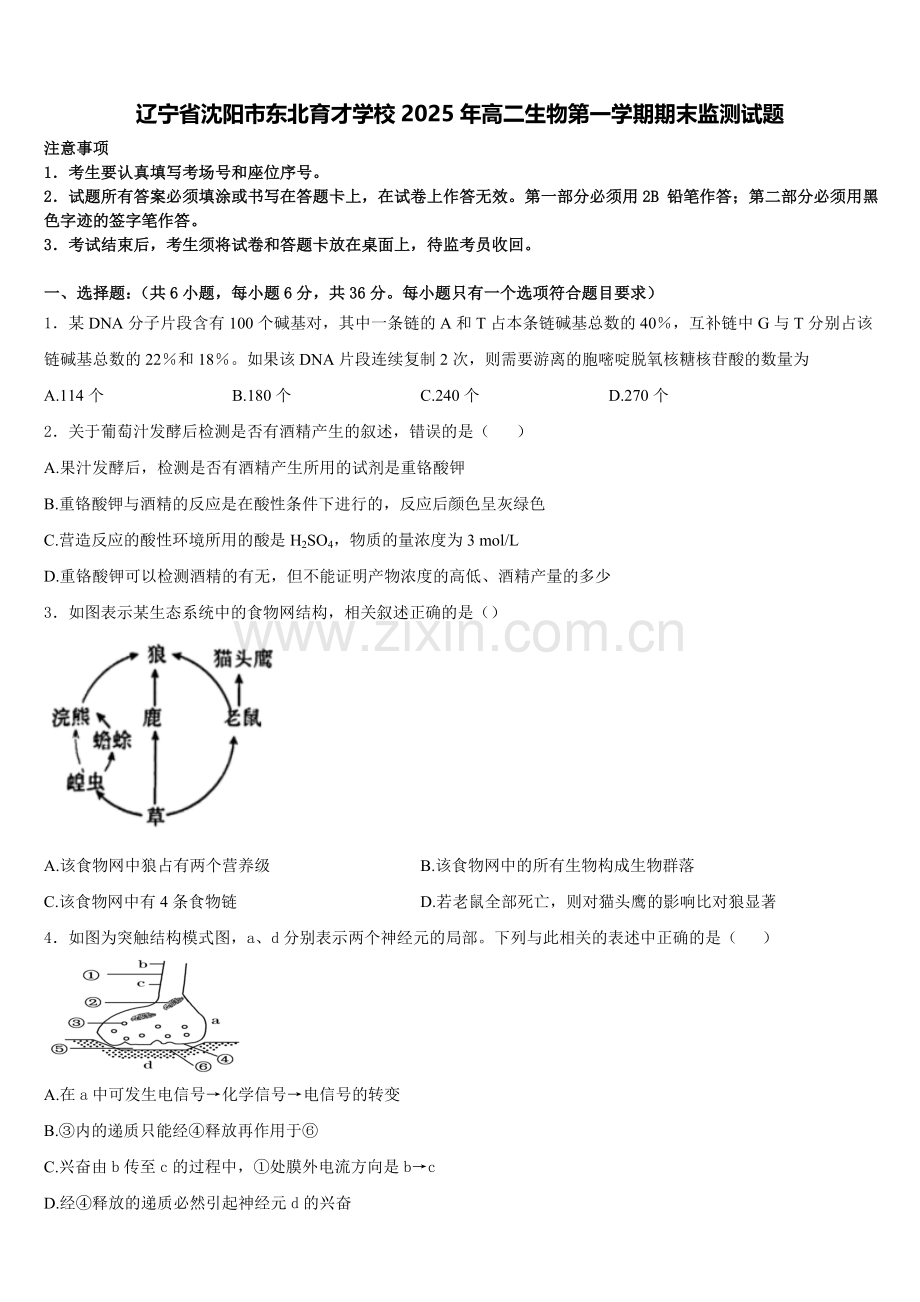 辽宁省沈阳市东北育才学校2025年高二生物第一学期期末监测试题含解析.doc_第1页