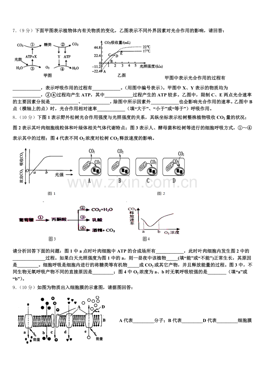 黑龙江省伊春市第二中学2025年高一生物第一学期期末监测试题含解析.doc_第2页