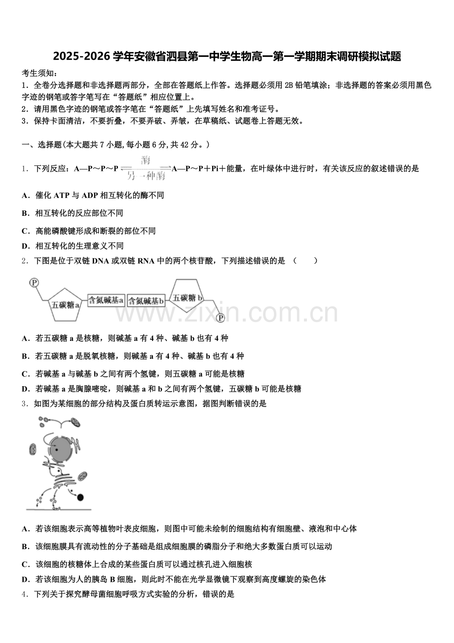 2025-2026学年安徽省泗县第一中学生物高一第一学期期末调研模拟试题含解析.doc_第1页