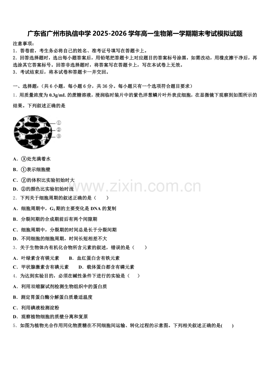 广东省广州市执信中学2025-2026学年高一生物第一学期期末考试模拟试题含解析.doc_第1页