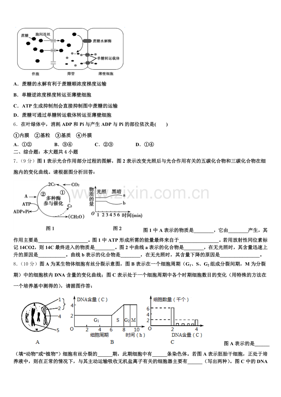 广东省广州市执信中学2025-2026学年高一生物第一学期期末考试模拟试题含解析.doc_第2页