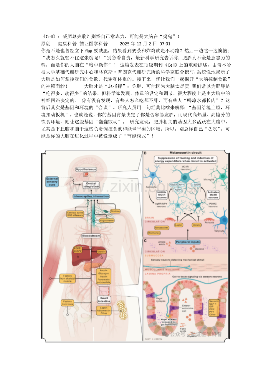 减肥总失败？别怪自己意志力可能是大脑在“捣鬼”！.doc_第1页