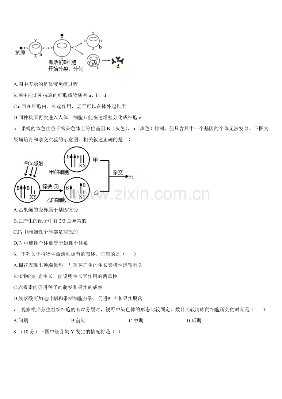 湖北省黄冈市麻城实验高中2026届生物高二上期末联考模拟试题含解析.doc_第2页