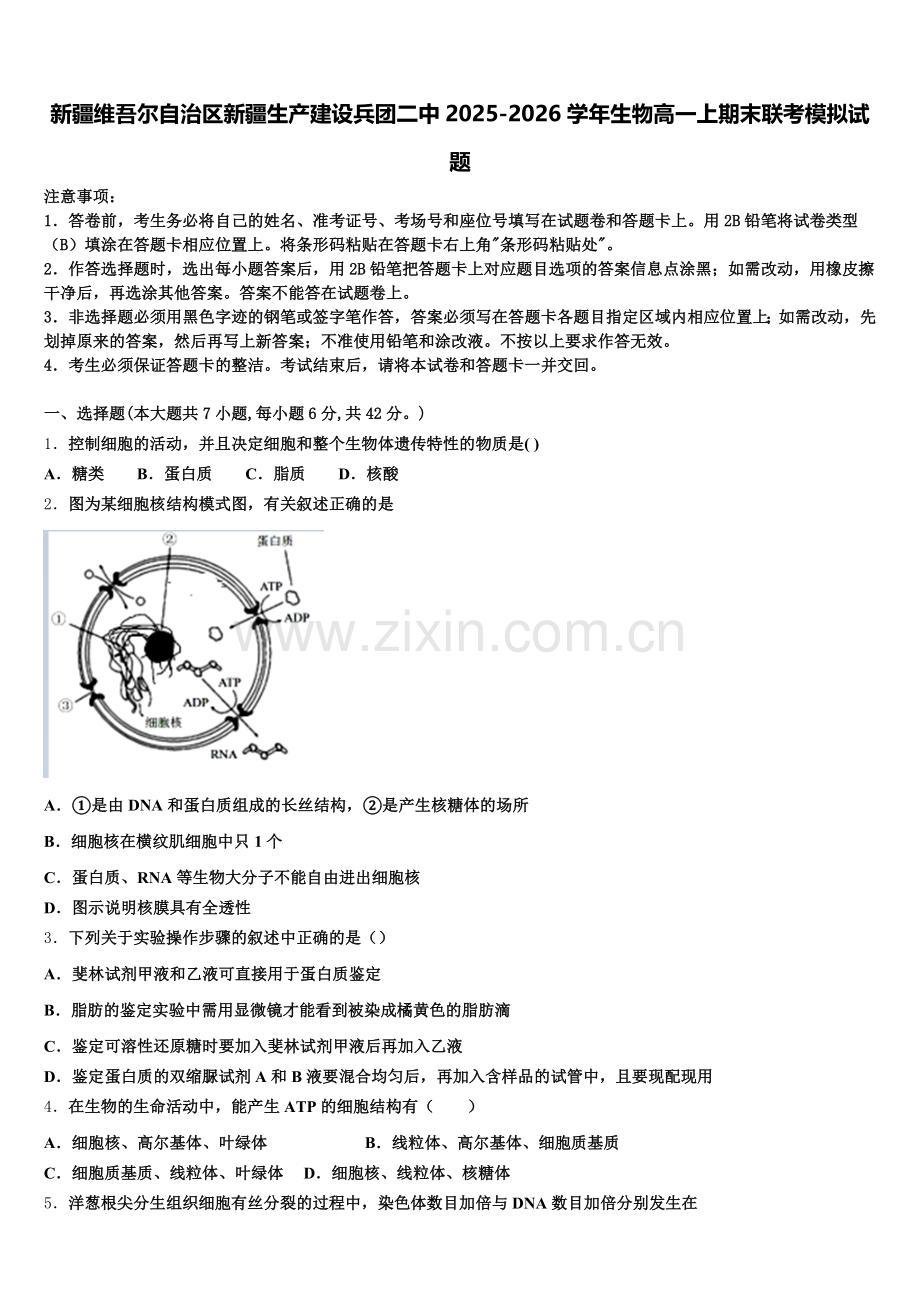 新疆维吾尔自治区新疆生产建设兵团二中2025-2026学年生物高一上期末联考模拟试题含解析.doc_第1页