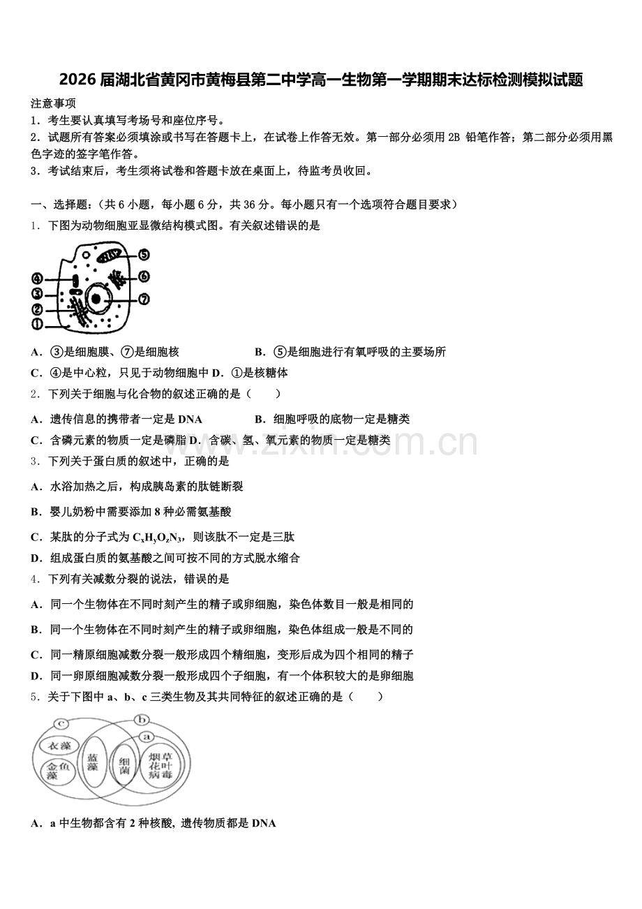 2026届湖北省黄冈市黄梅县第二中学高一生物第一学期期末达标检测模拟试题含解析.doc_第1页
