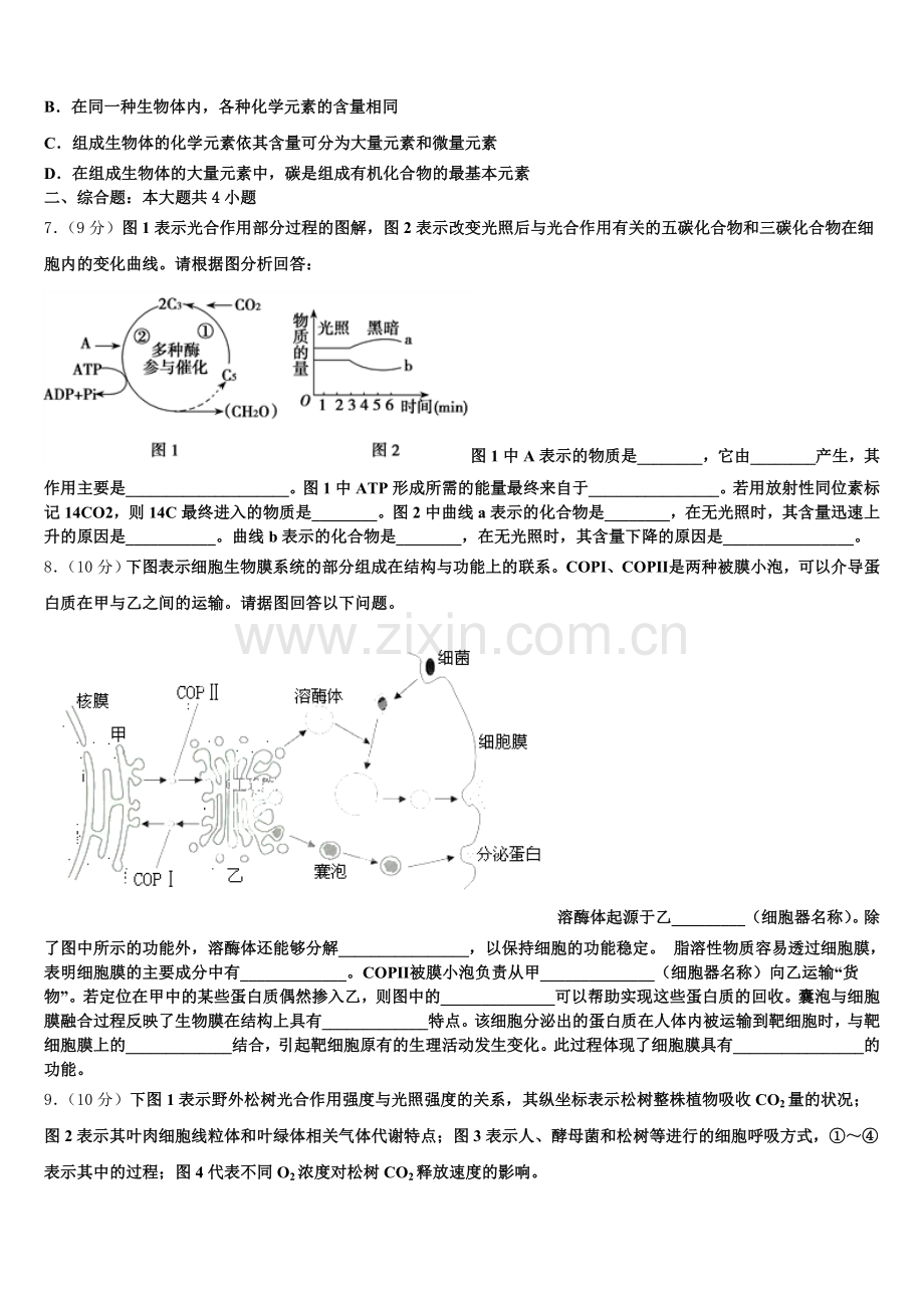 合肥一六八中学2025年高一上生物期末综合测试模拟试题含解析.doc_第2页
