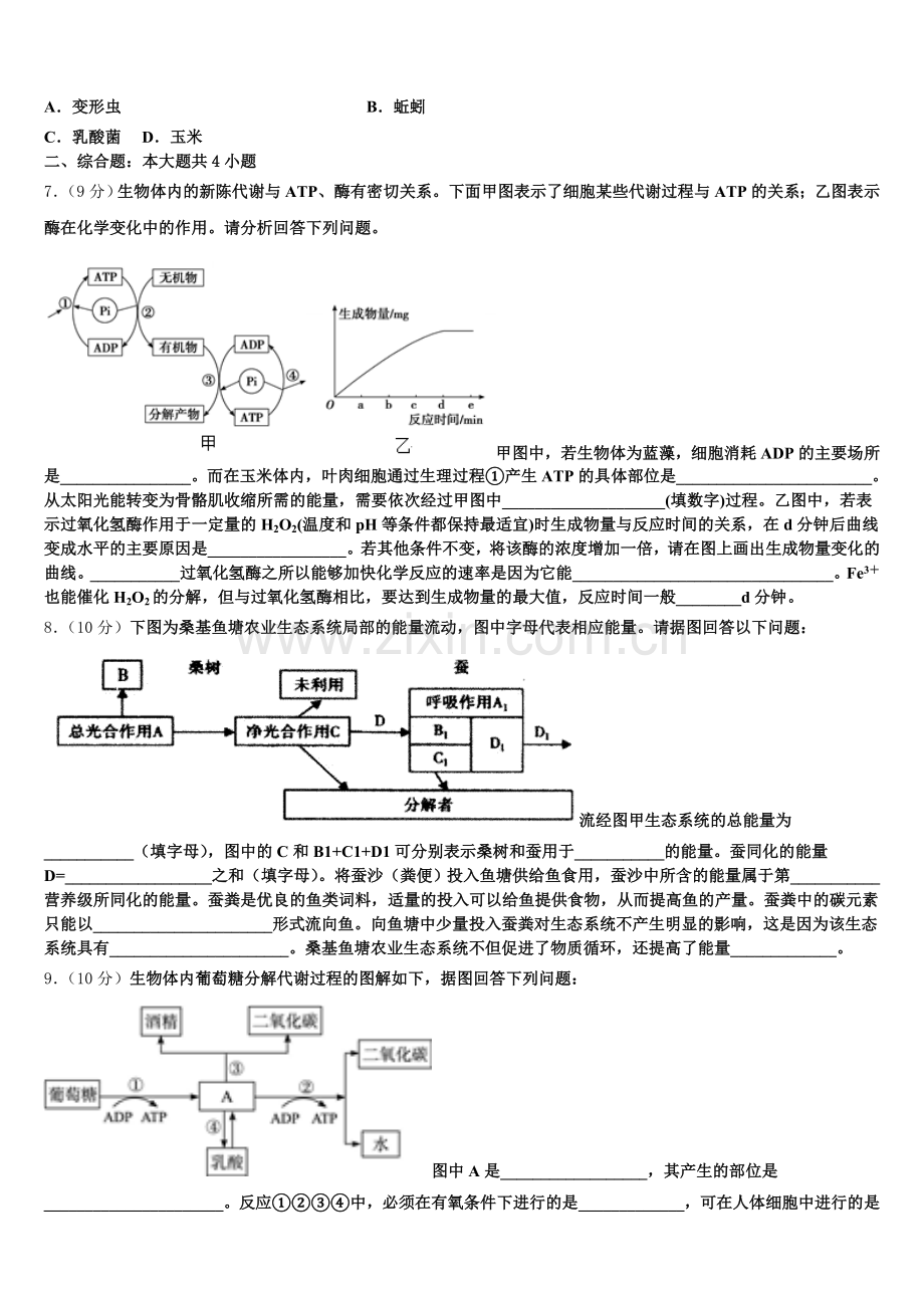 2025年上海市宝山区上海大学附中高一生物第一学期期末教学质量检测模拟试题含解析.doc_第2页