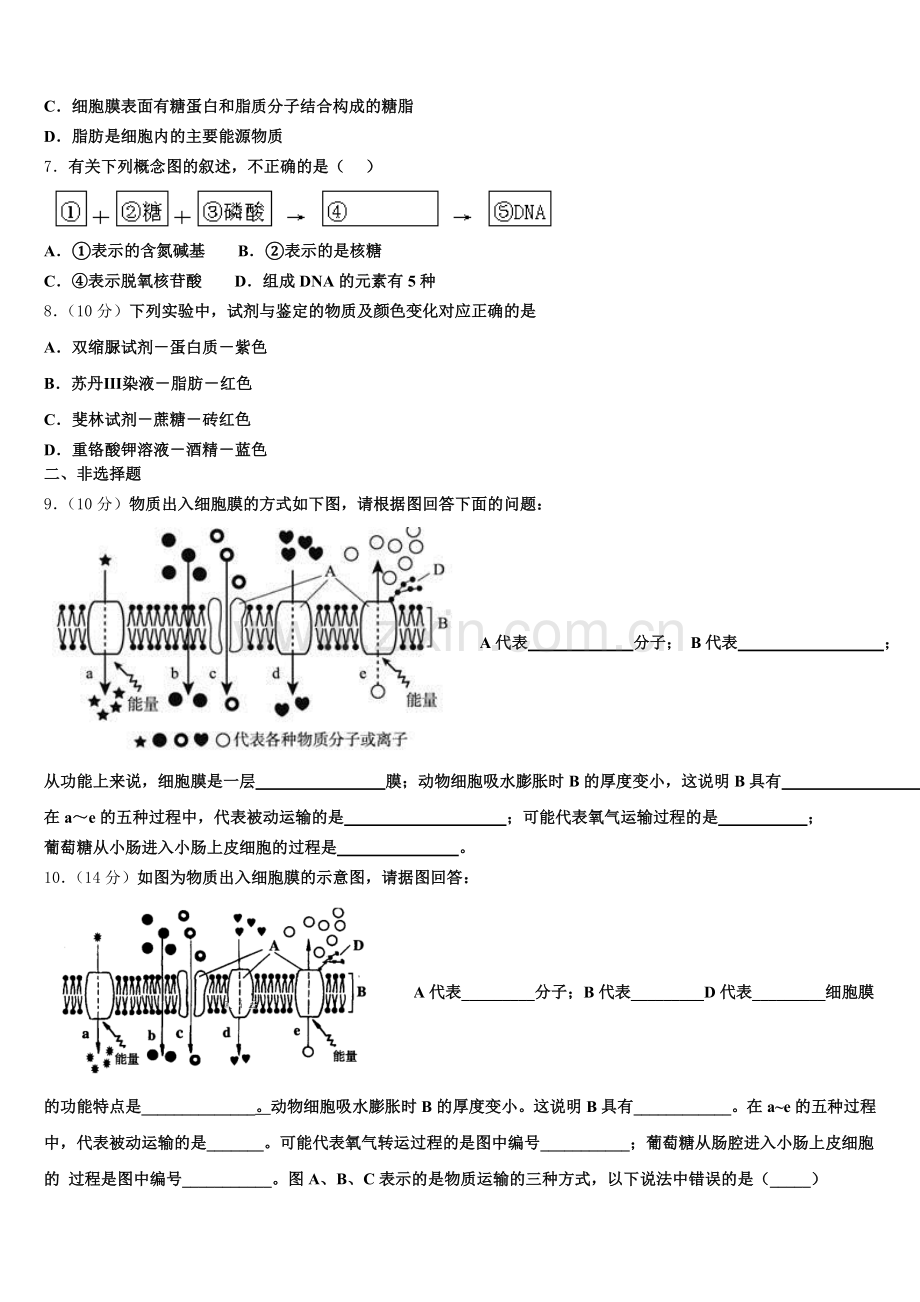2025-2026学年学海大联考 生物高一上期末质量检测试题含解析.doc_第2页