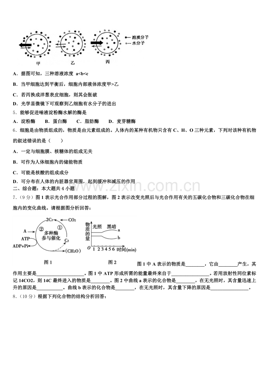 广东省深圳外国语学校2025年生物高一第一学期期末检测模拟试题含解析.doc_第2页