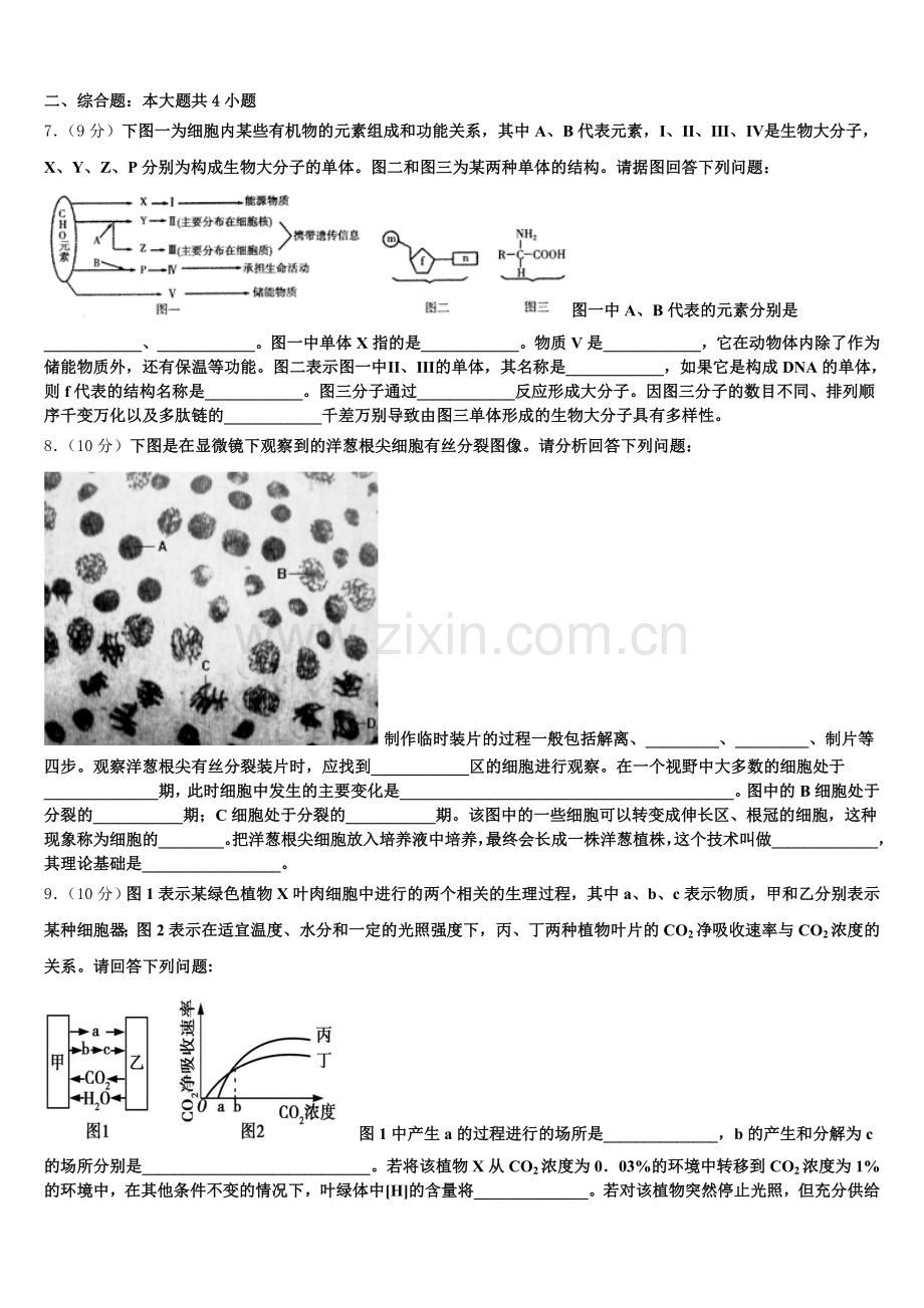 陕西省延安市黄陵中学新部2026届生物高一上期末考试模拟试题含解析.doc_第2页