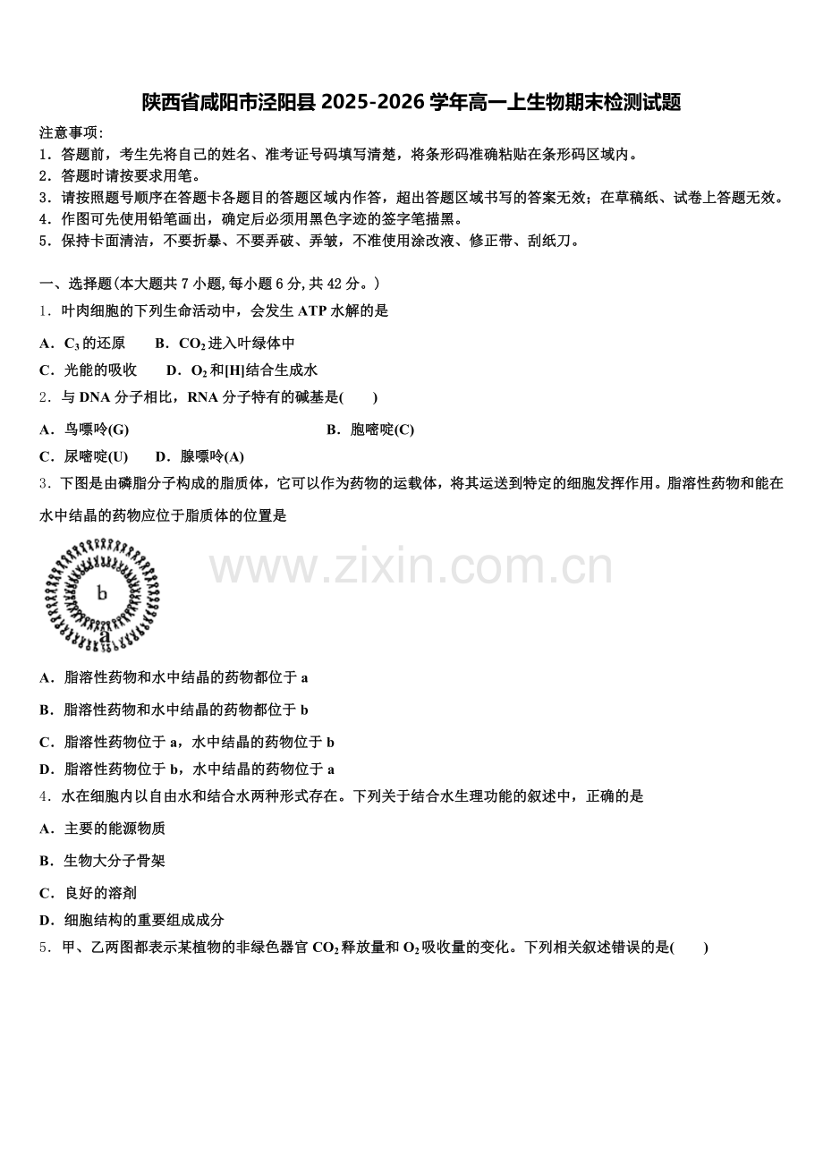 陕西省咸阳市泾阳县2025-2026学年高一上生物期末检测试题含解析.doc_第1页