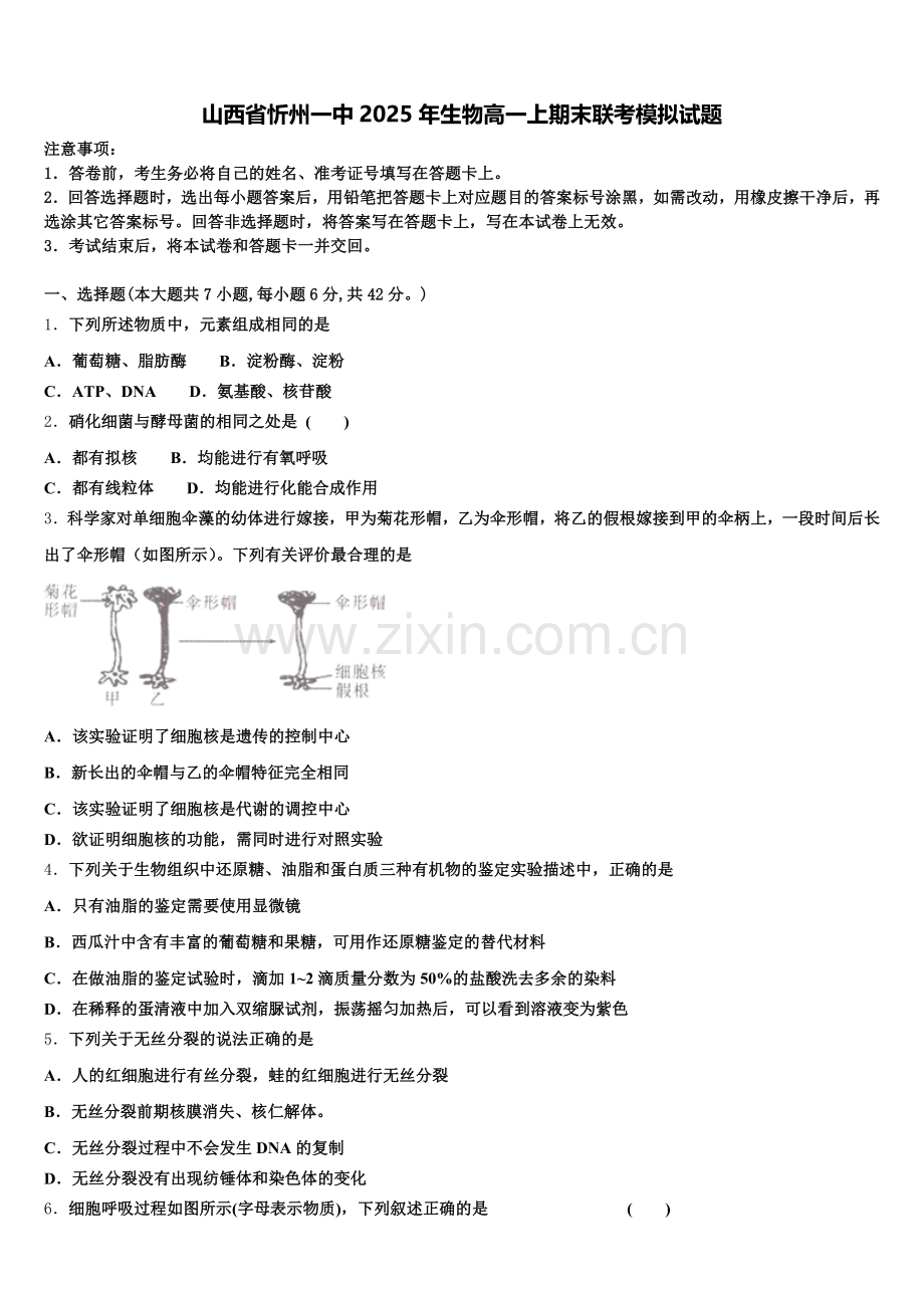 山西省忻州一中2025年生物高一上期末联考模拟试题含解析.doc_第1页