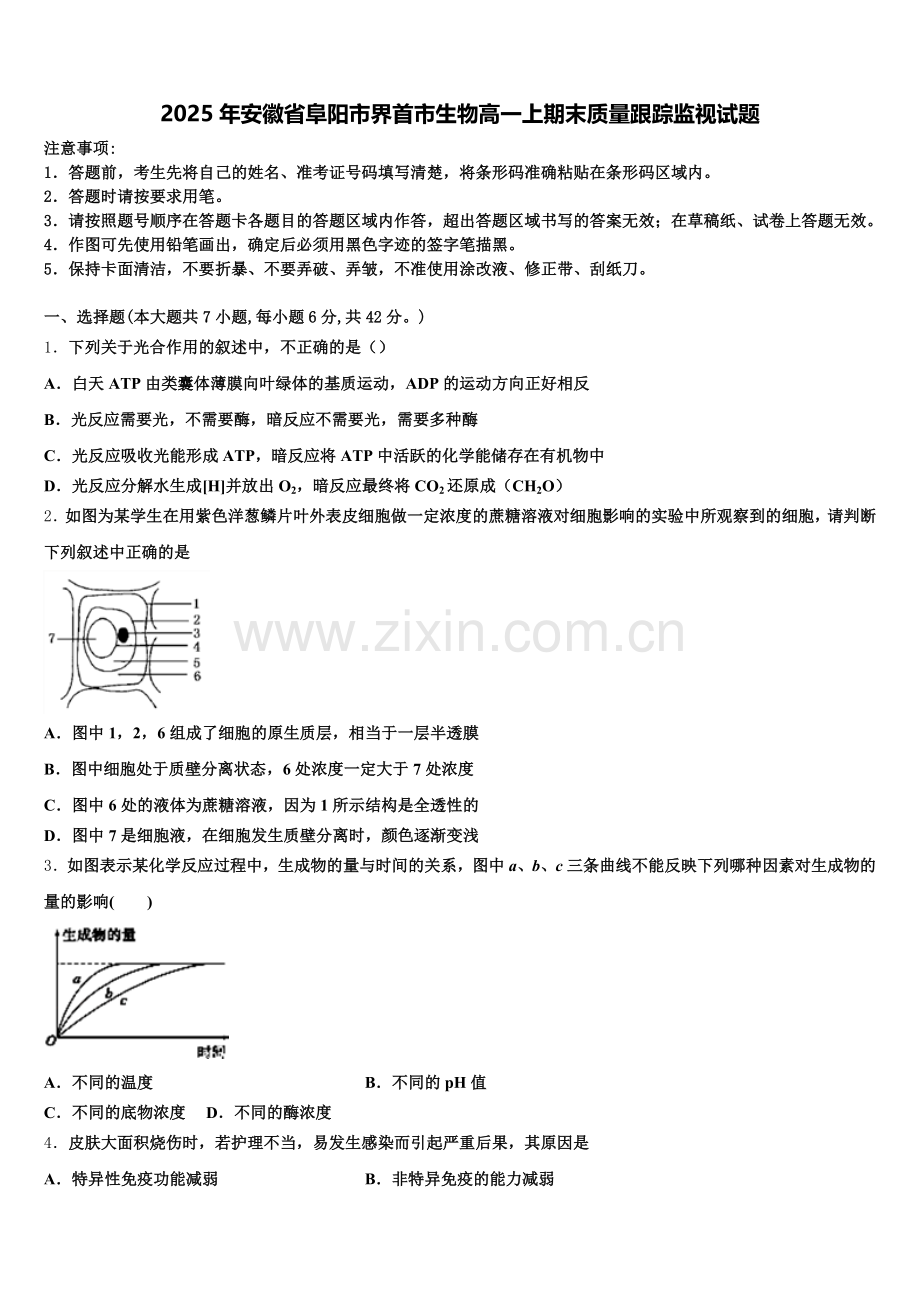 2025年安徽省阜阳市界首市生物高一上期末质量跟踪监视试题含解析.doc_第1页