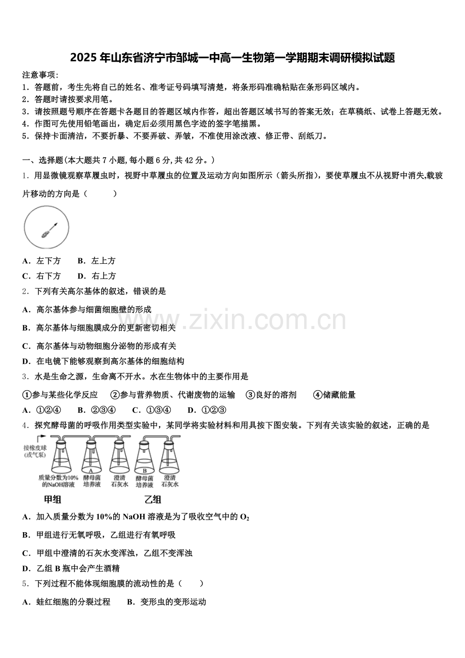 2025年山东省济宁市邹城一中高一生物第一学期期末调研模拟试题含解析.doc_第1页
