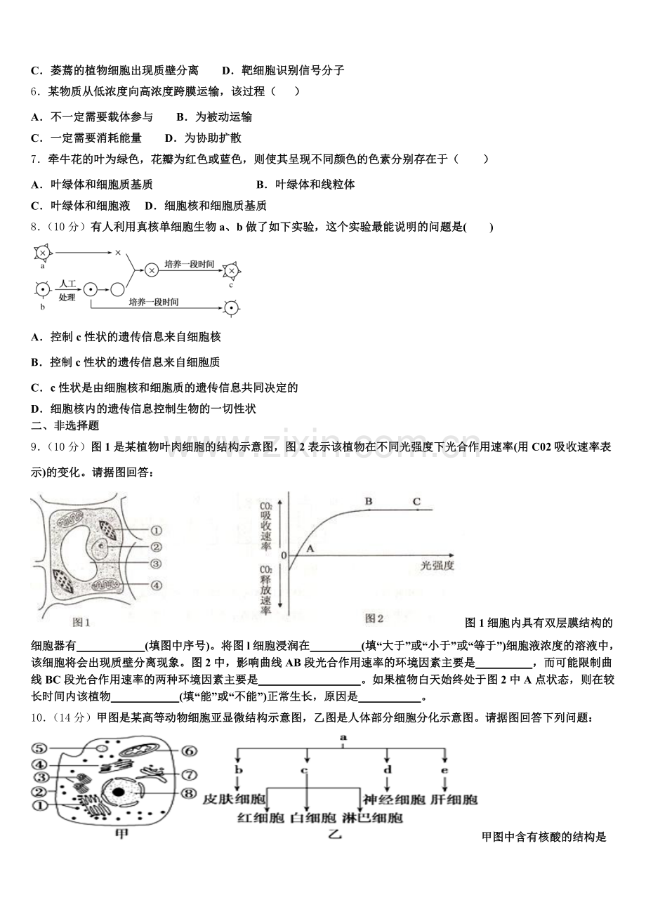 2025年山东省济宁市邹城一中高一生物第一学期期末调研模拟试题含解析.doc_第2页