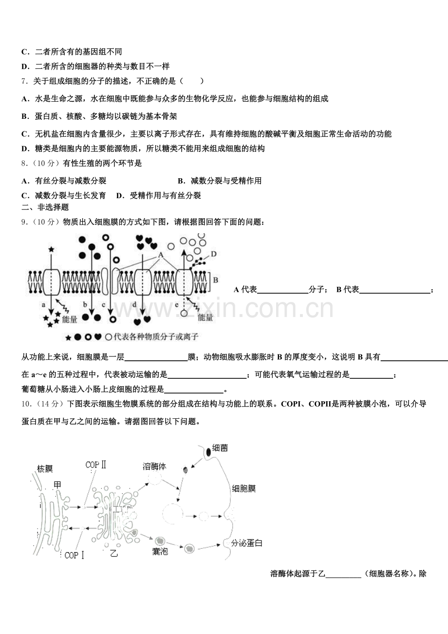 2025年甘肃省宁县生物高一第一学期期末调研试题含解析.doc_第2页