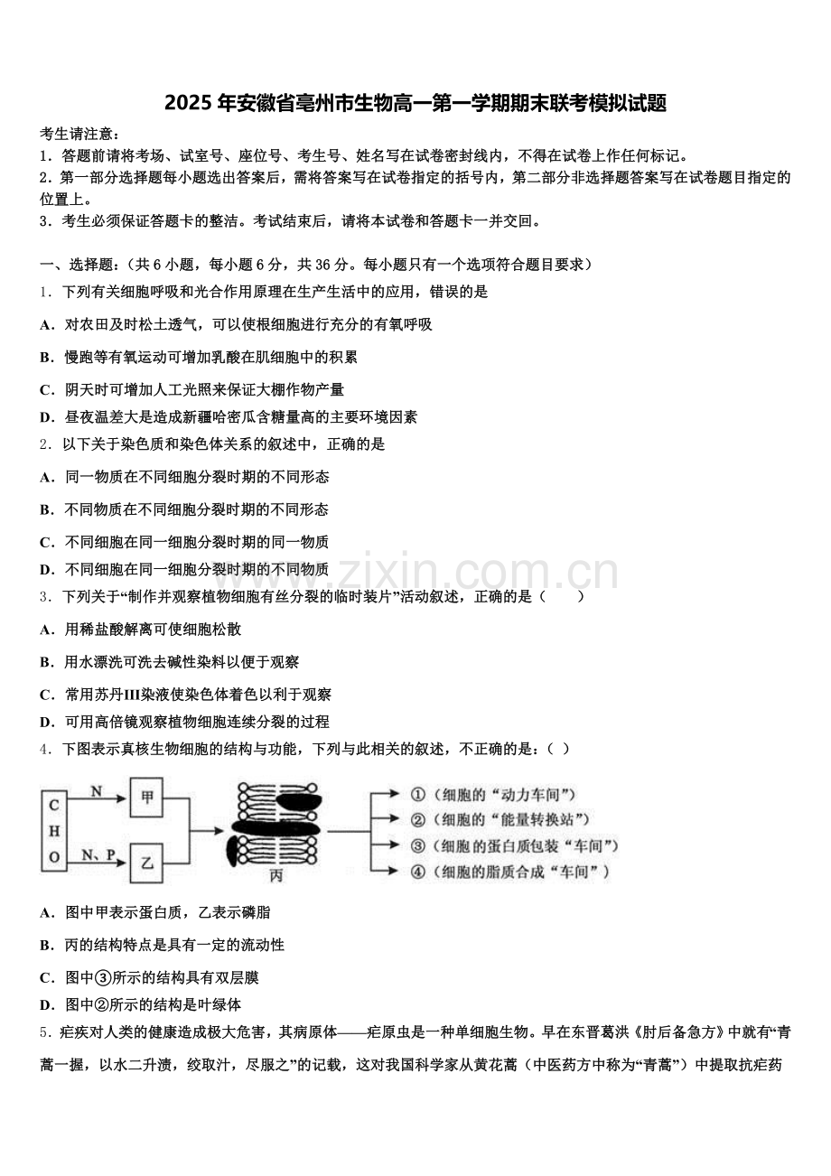 2025年安徽省亳州市生物高一第一学期期末联考模拟试题含解析.doc_第1页