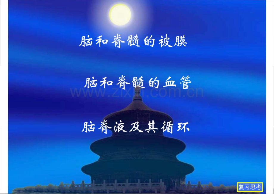 神经系统 脑和脊髓的被膜、血管、脑脊液循环.pdf_第1页