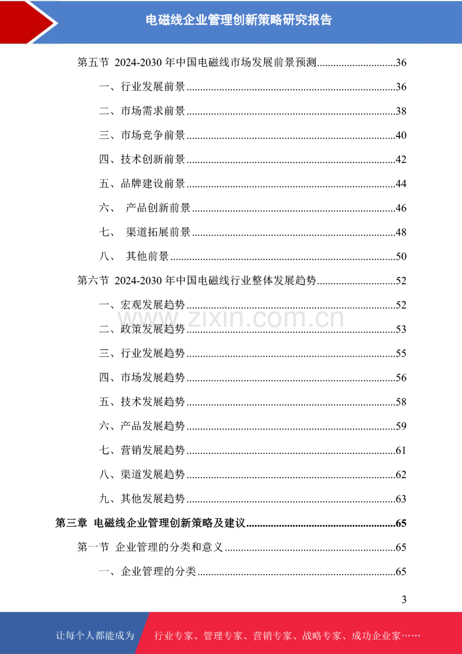 电磁线企业管理创新策略研究报告.pdf_第2页