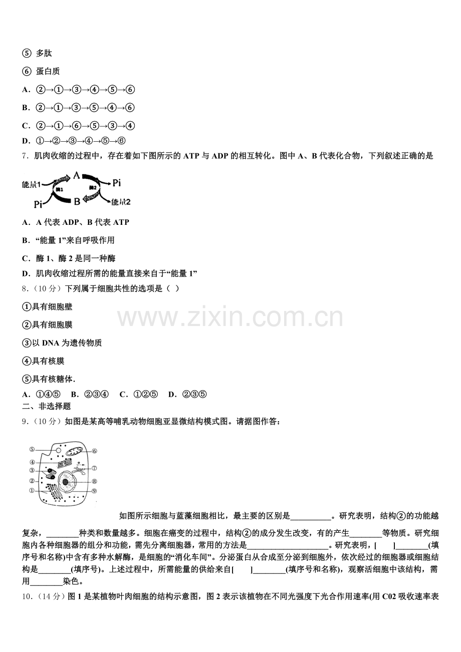 江苏省宿迁市沭阳县华冲高中2025年生物高一第一学期期末统考模拟试题含解析.doc_第2页
