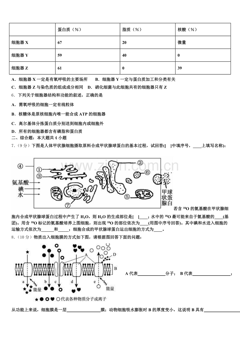 2025年兴安市重点中学生物高一第一学期期末质量检测模拟试题含解析.doc_第2页