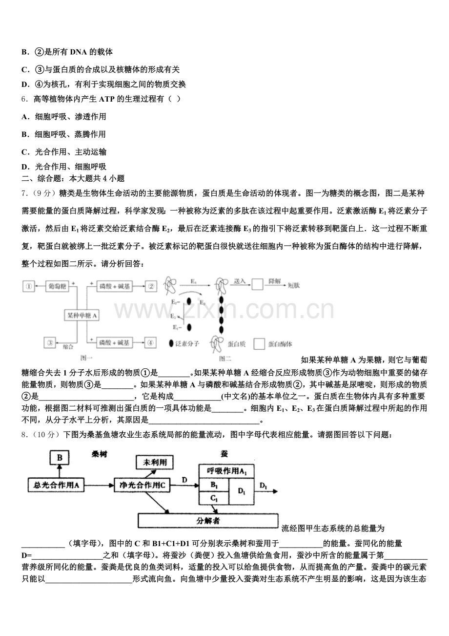 云南省昆明市西山区民中2025年高一生物第一学期期末达标测试试题含解析.doc_第2页