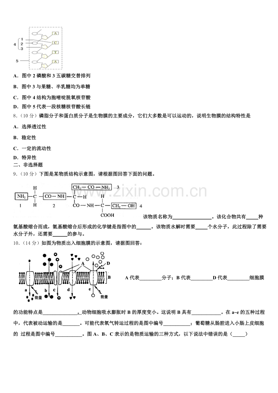 湖北省武汉第二中学2025-2026学年高一上生物期末质量检测模拟试题含解析.doc_第2页
