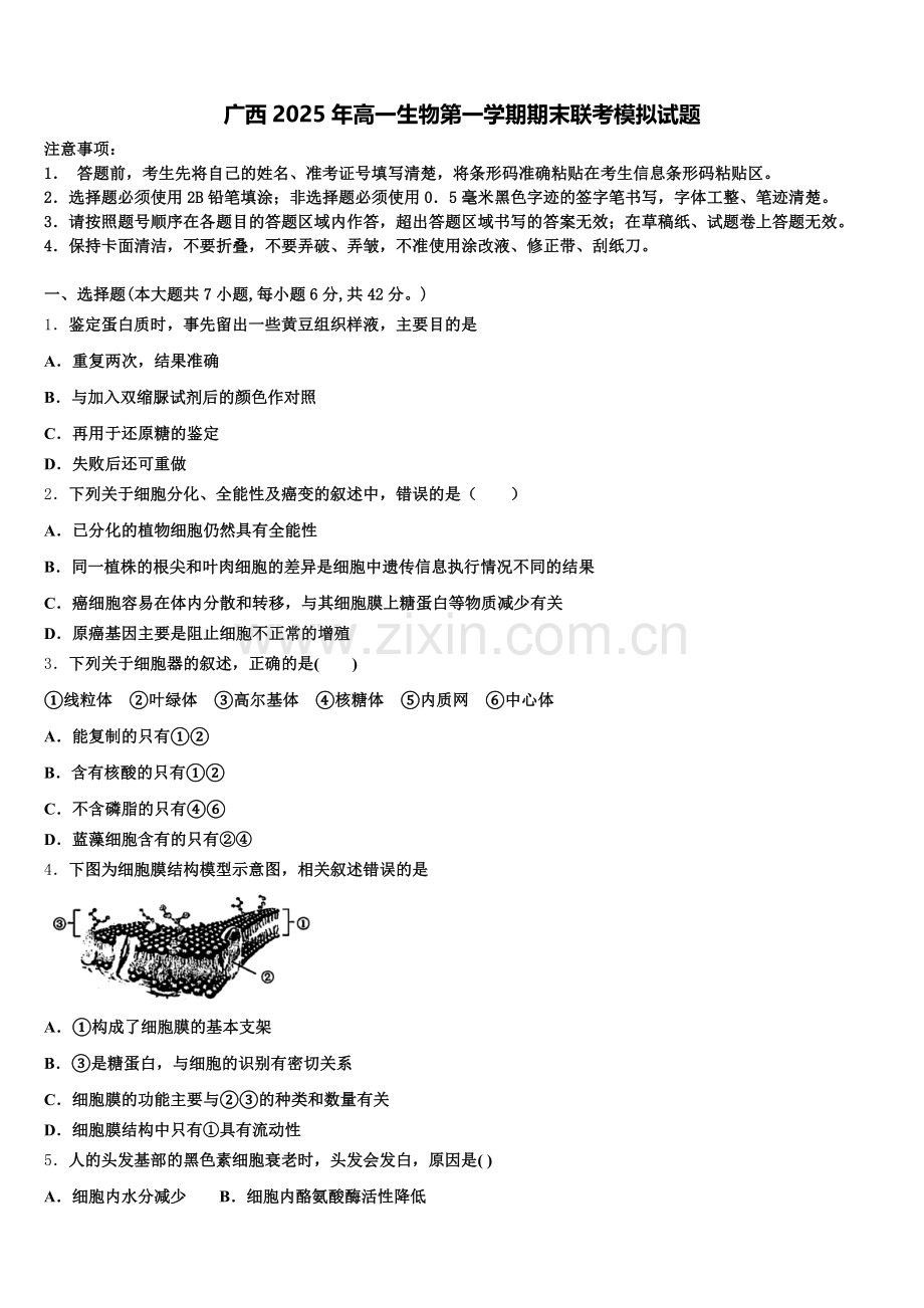 广西2025年高一生物第一学期期末联考模拟试题含解析.doc_第1页