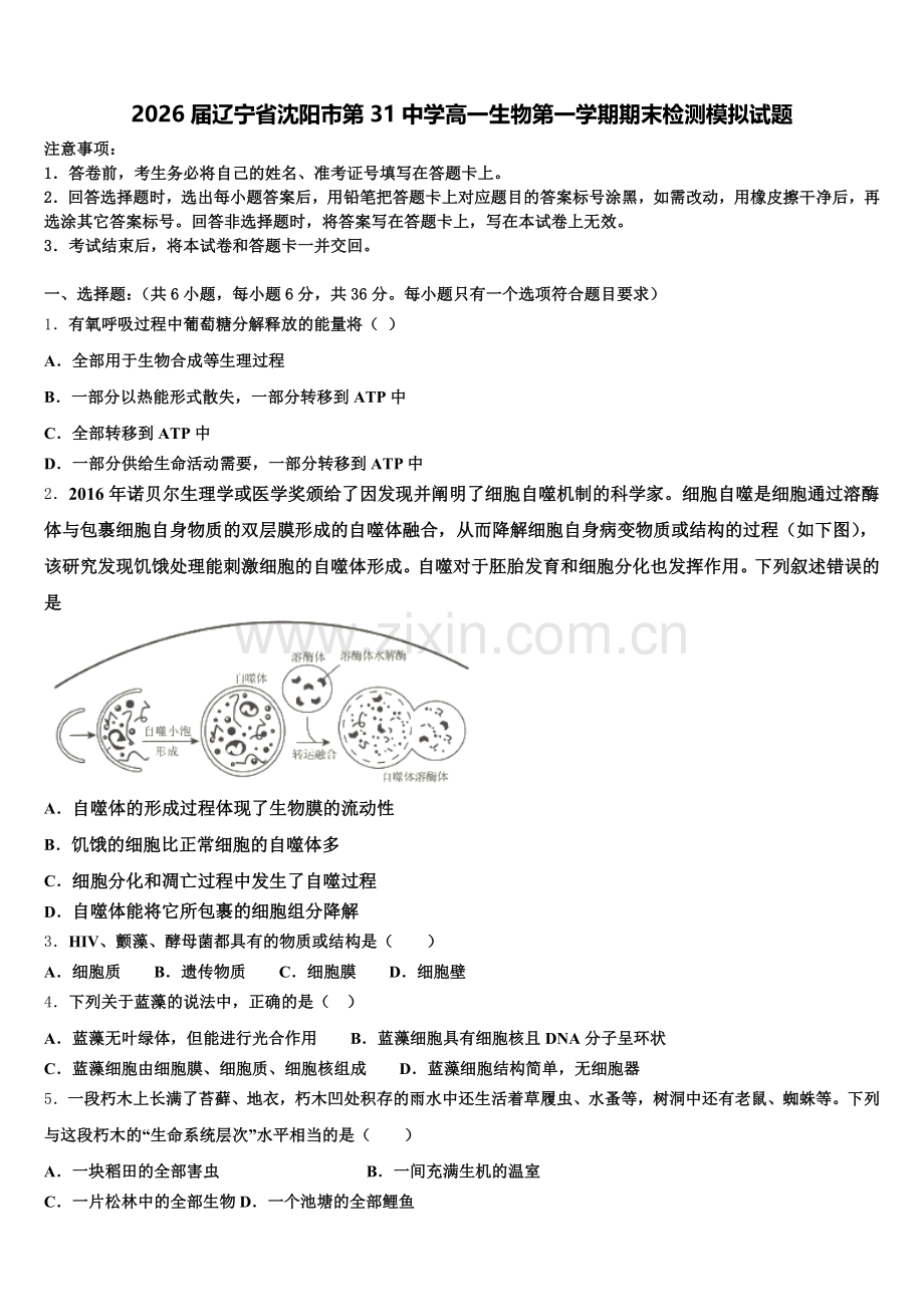 2026届辽宁省沈阳市第31中学高一生物第一学期期末检测模拟试题含解析.doc_第1页