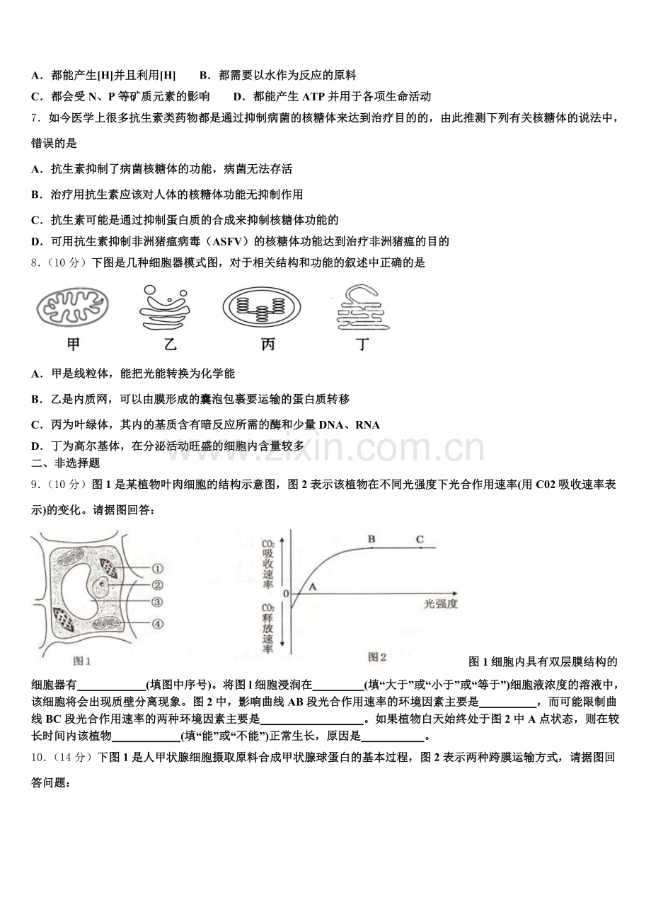 湖南省长沙市实验中学2025年生物高一第一学期期末复习检测试题含解析.doc_第2页