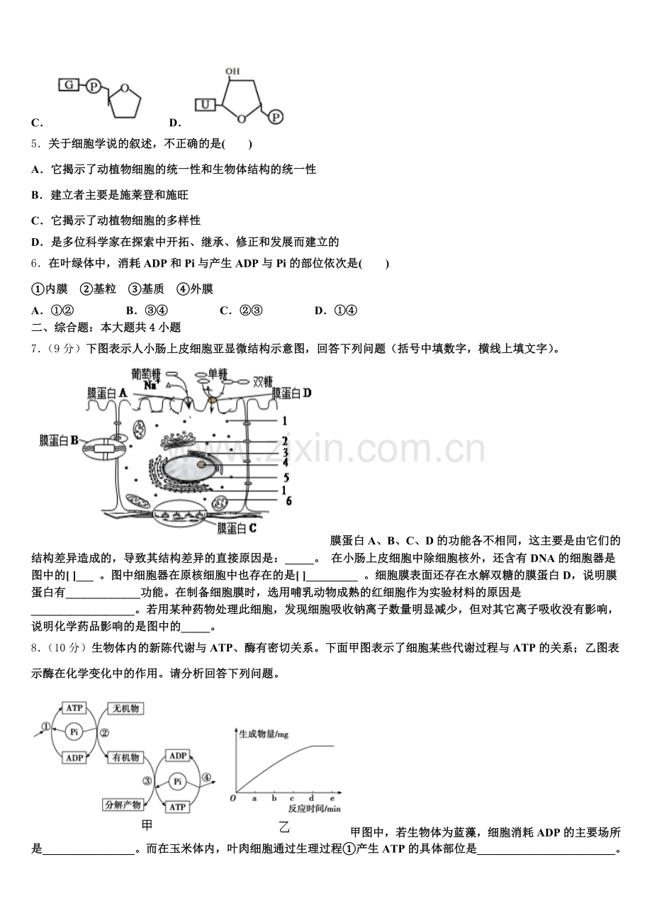 辽宁省大连渤海高级中学2026届生物高一第一学期期末质量跟踪监视试题含解析.doc_第2页