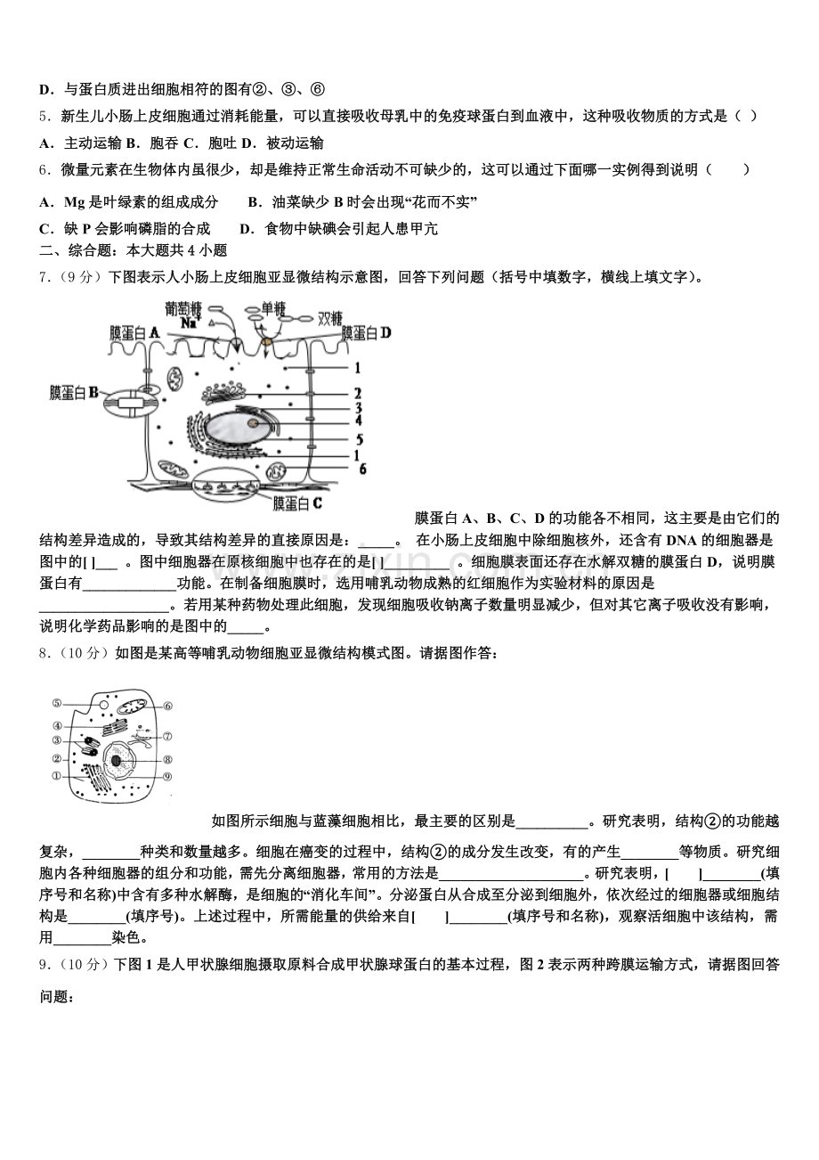 2025年江西省新建一中高一生物第一学期期末学业质量监测模拟试题含解析.doc_第2页