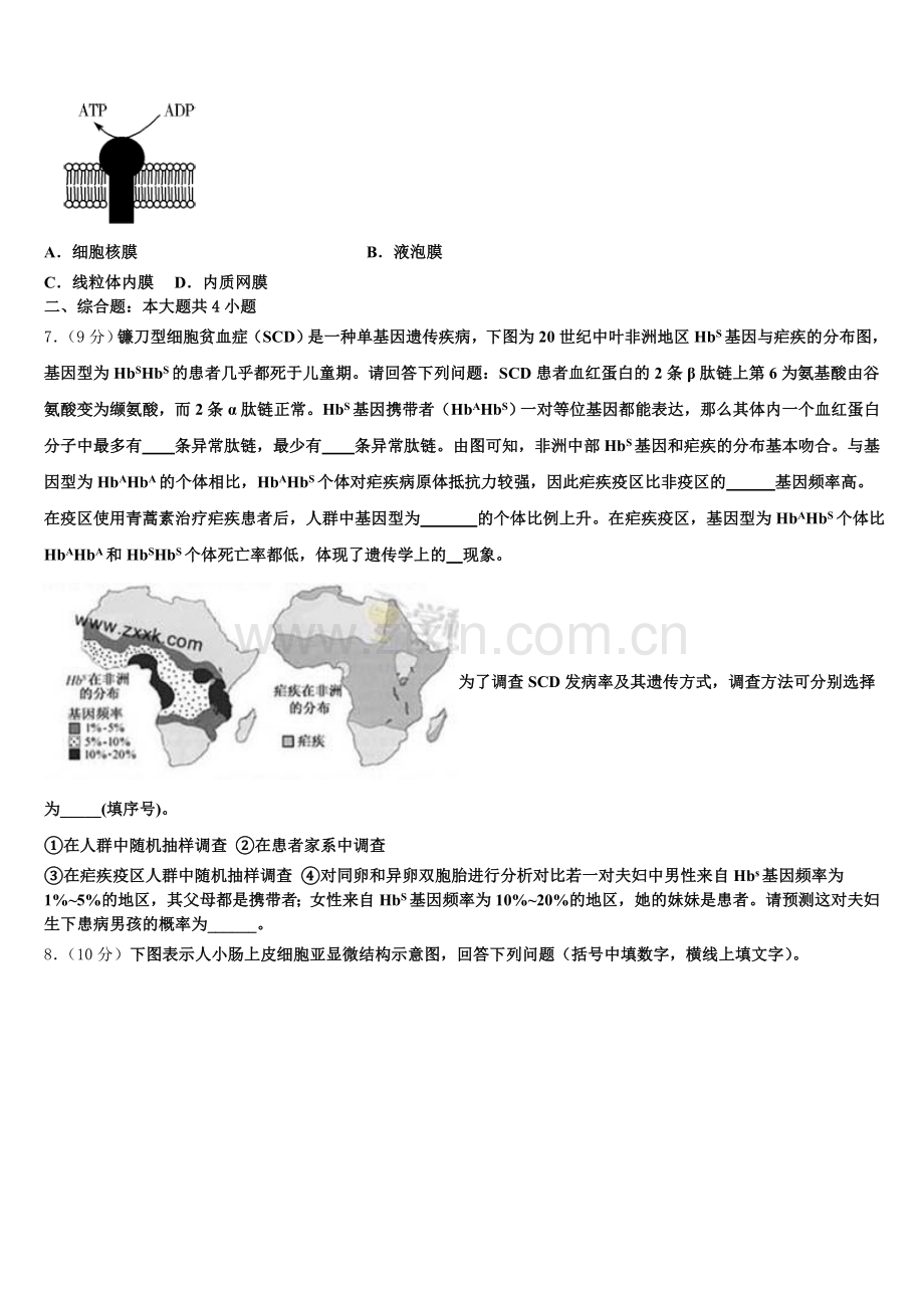 2026届辽宁省抚顺县高级中学、第二高级中学、四方高中生物高一上期末质量检测试题含解析.doc_第2页