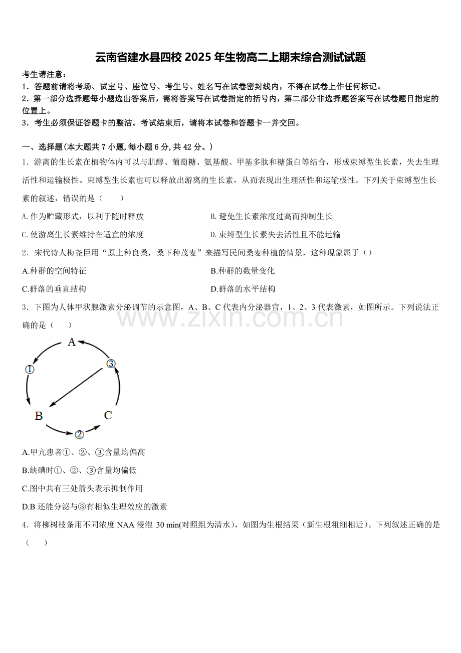 云南省建水县四校2025年生物高二上期末综合测试试题含解析.doc_第1页