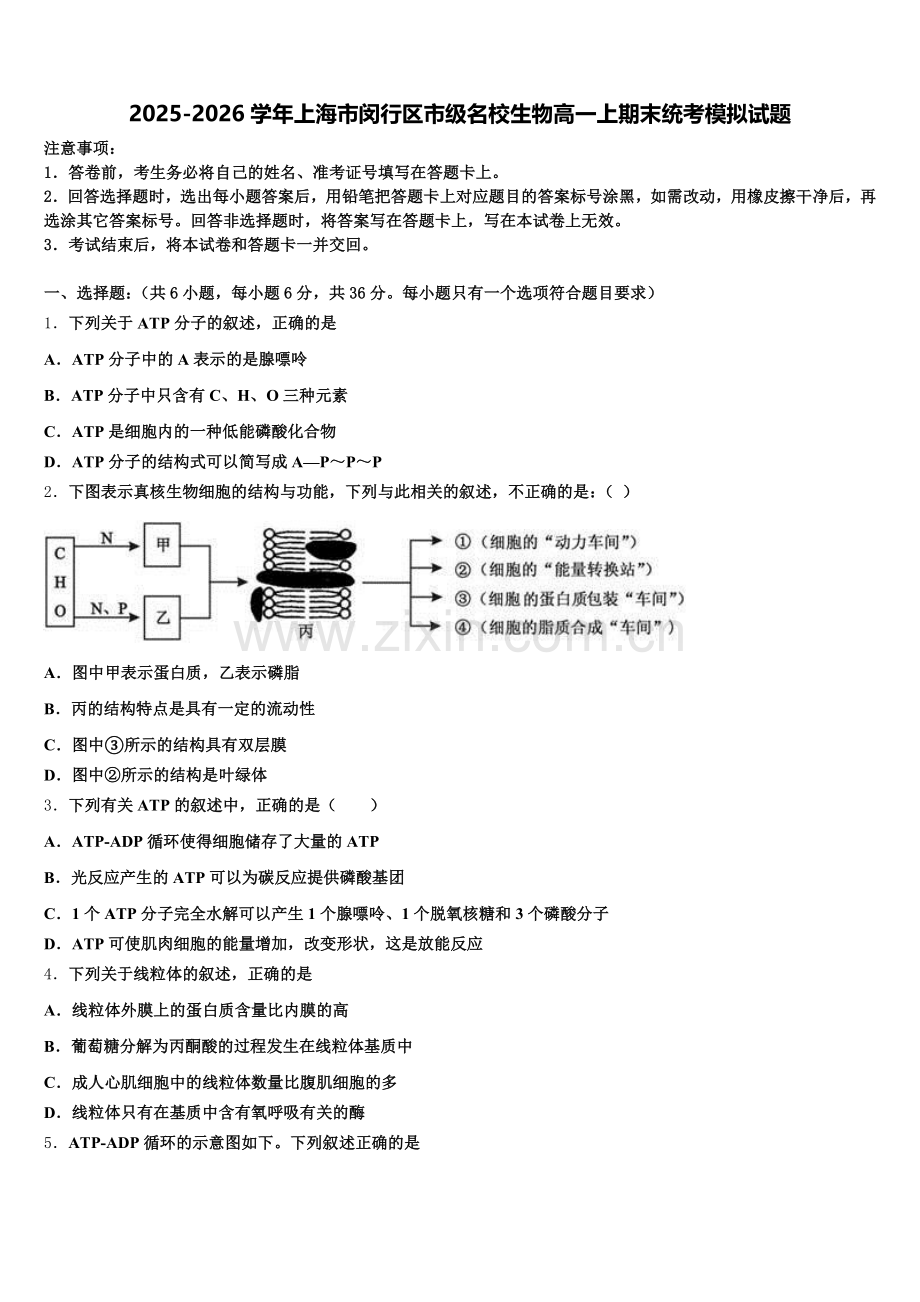 2025-2026学年上海市闵行区市级名校生物高一上期末统考模拟试题含解析.doc_第1页