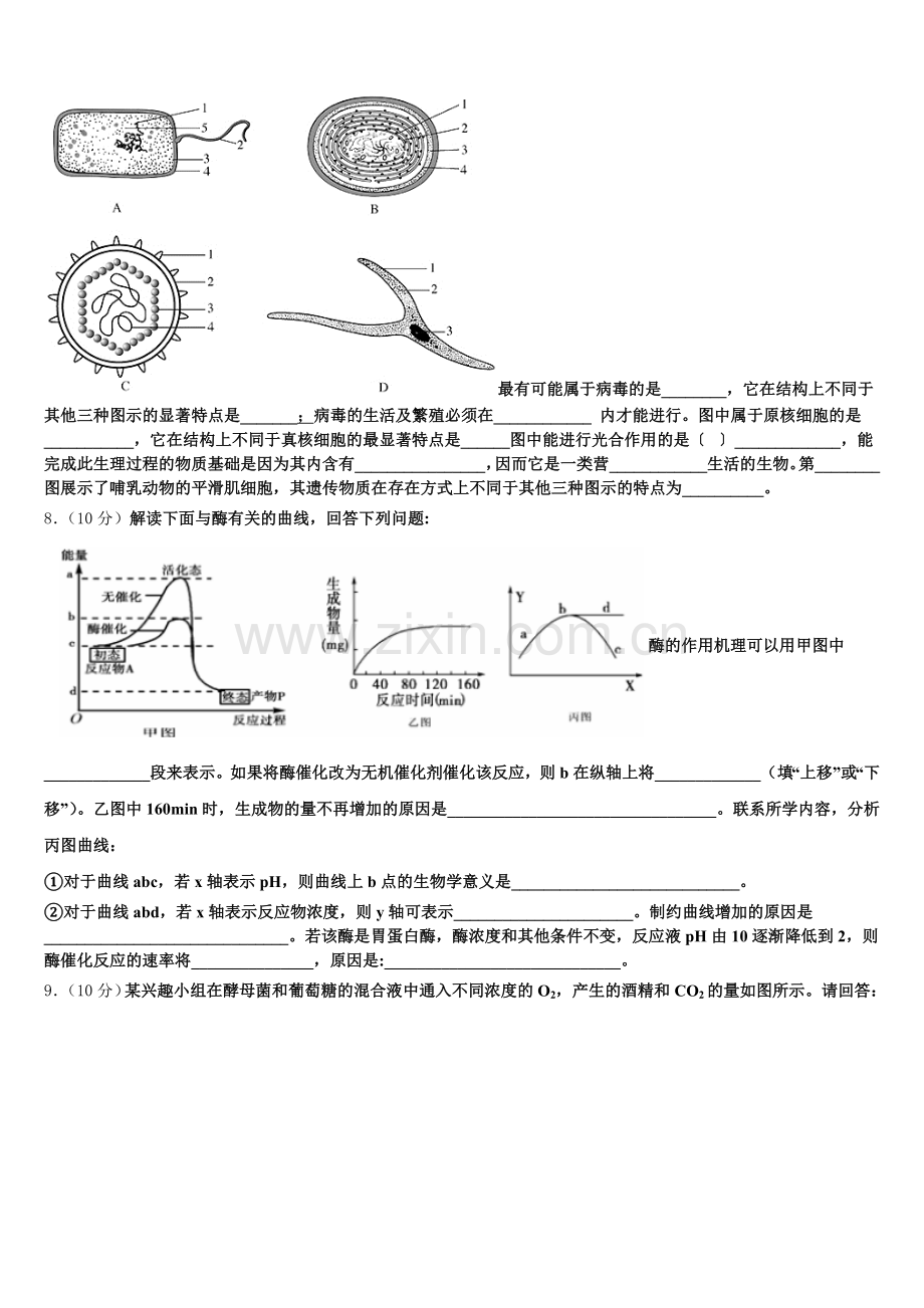河南省开封市祥符区2025年高一生物第一学期期末达标检测试题含解析.doc_第2页