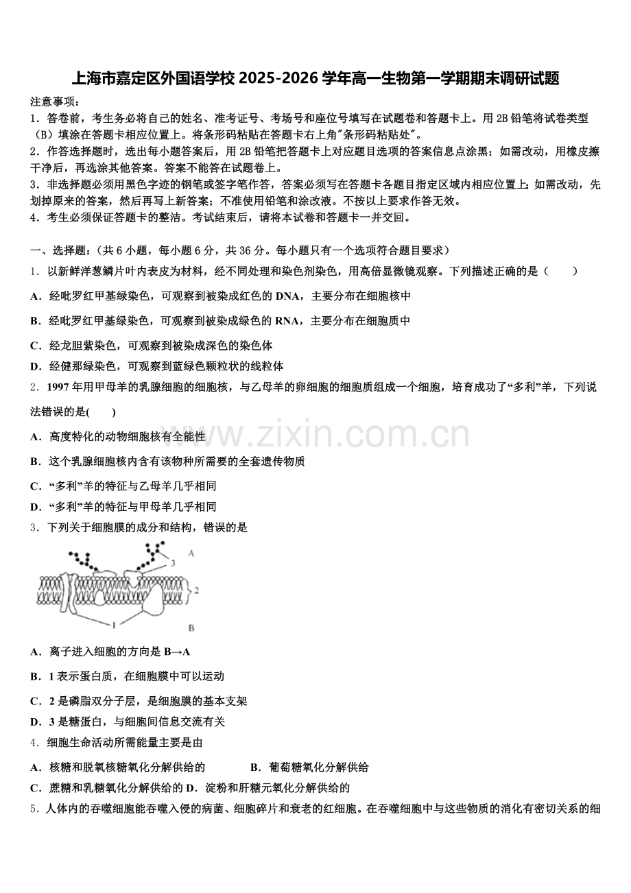 上海市嘉定区外国语学校2025-2026学年高一生物第一学期期末调研试题含解析.doc_第1页