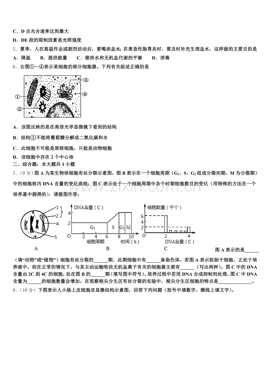 2025-2026学年吉林省普通高中高一生物第一学期期末统考模拟试题含解析.doc_第2页