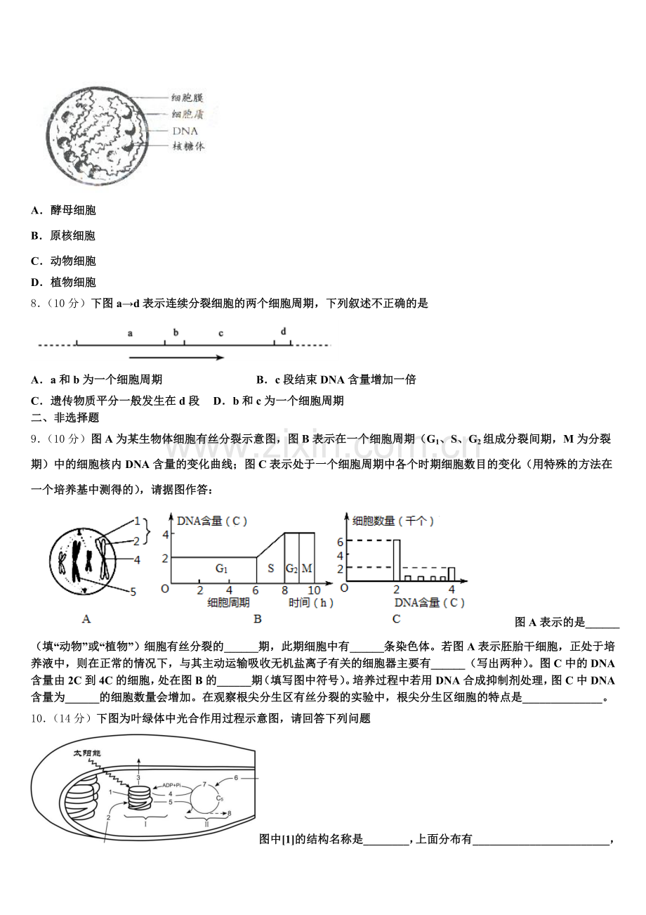 吉林省通化市梅河口市博文学校2026届生物高一第一学期期末监测模拟试题含解析.doc_第2页