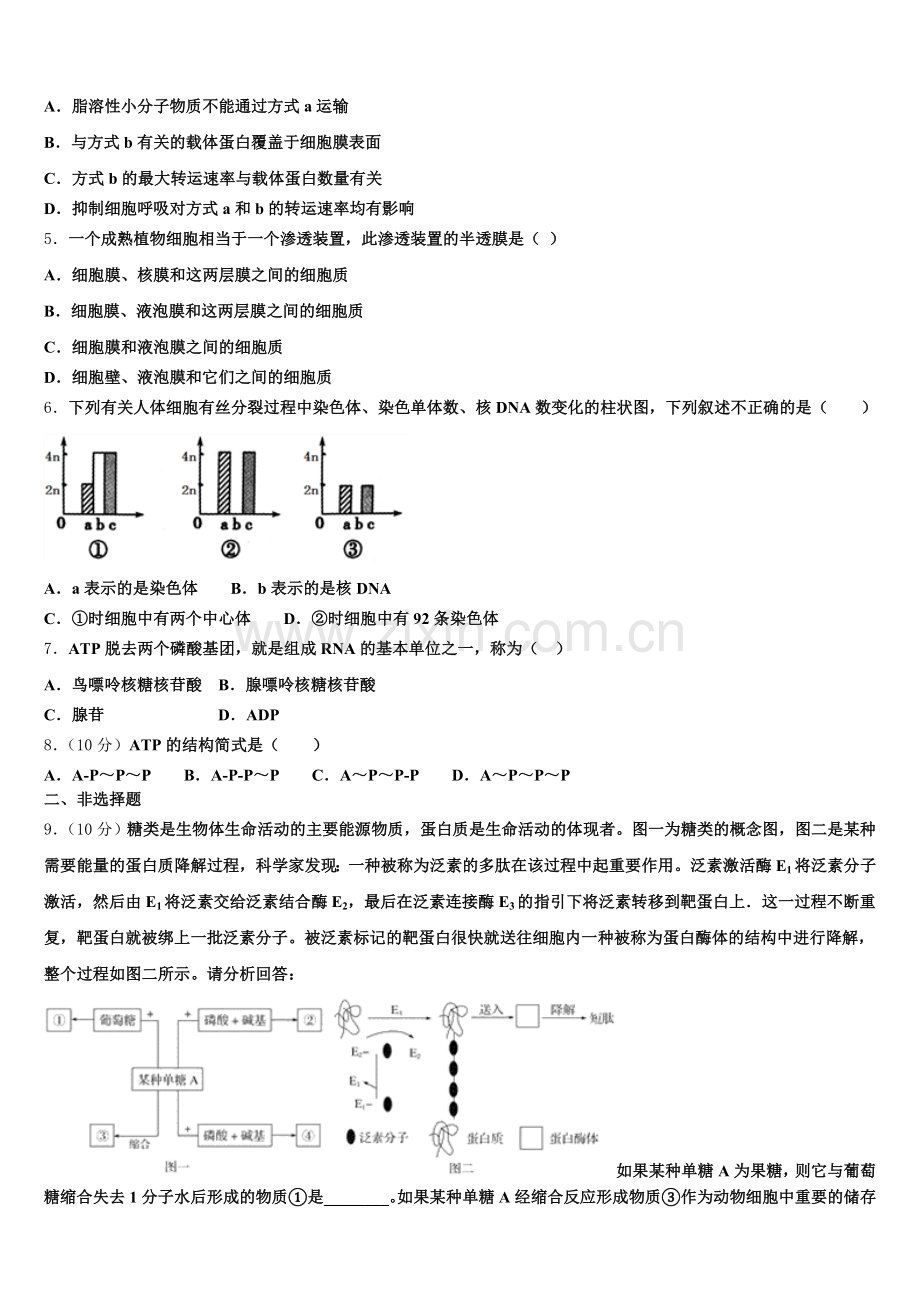 绵阳中学2025-2026学年生物高一上期末学业水平测试试题含解析.doc_第2页