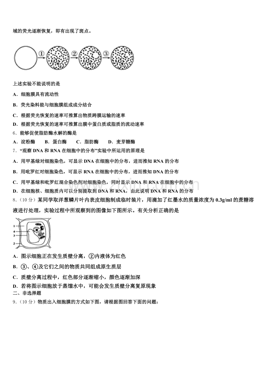 2026届广州市番禺区生物高一第一学期期末质量跟踪监视模拟试题含解析.doc_第2页