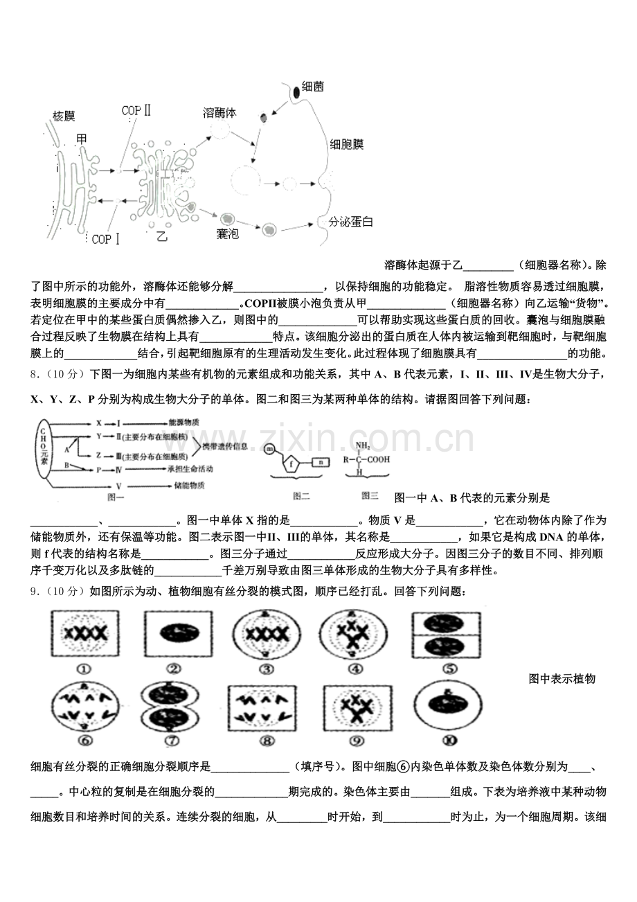 上海市二中学2026届高一上生物期末考试试题含解析.doc_第2页