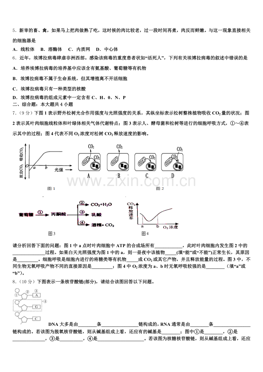 湖北省黄石市第三中学2025-2026学年生物高一上期末监测试题含解析.doc_第2页
