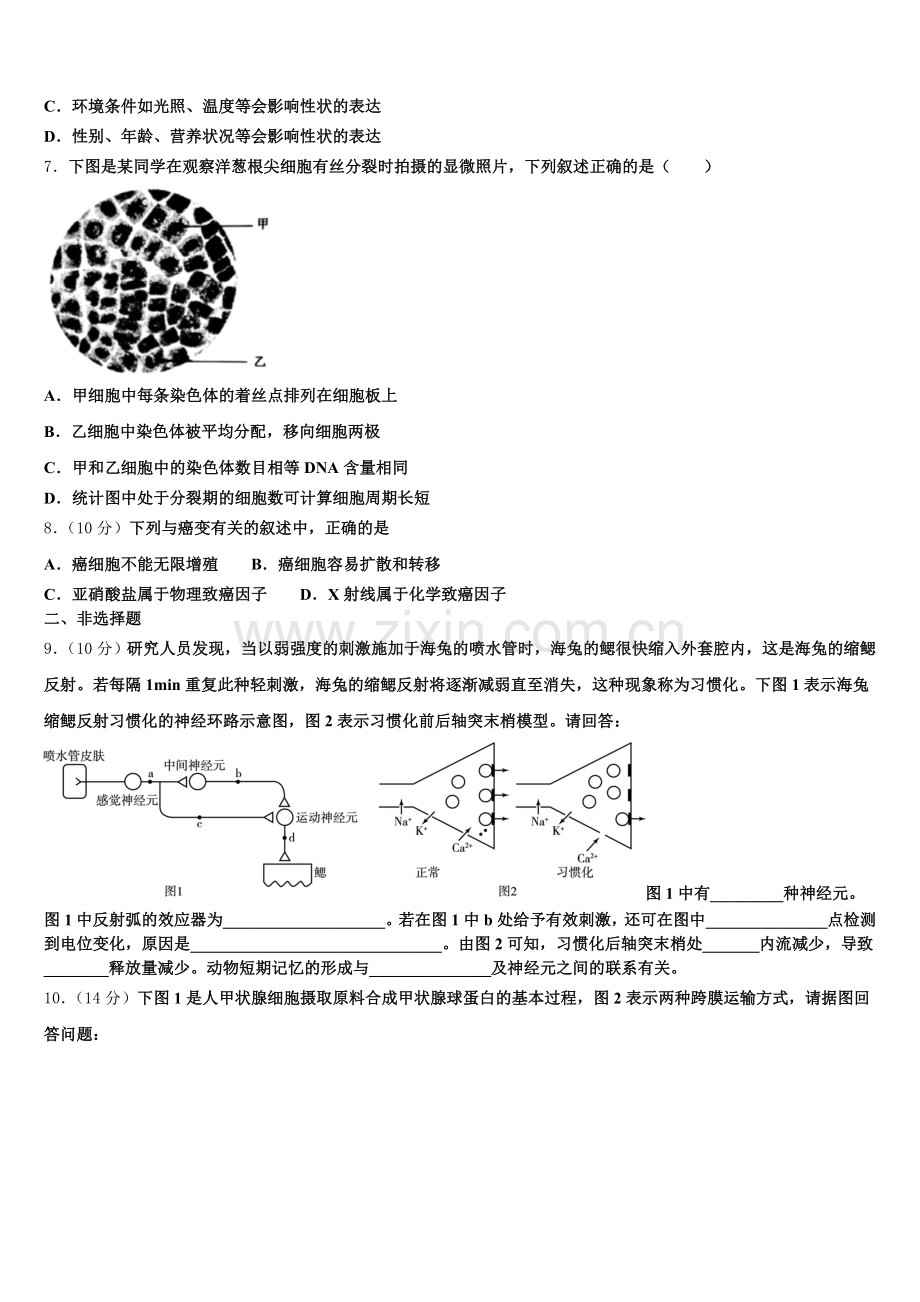 2025-2026学年深圳中学高一上生物期末考试模拟试题含解析.doc_第2页