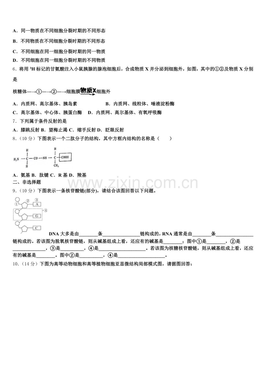 2025-2026学年陕西省宝鸡市凤县中学生物高一第一学期期末质量检测模拟试题含解析.doc_第2页