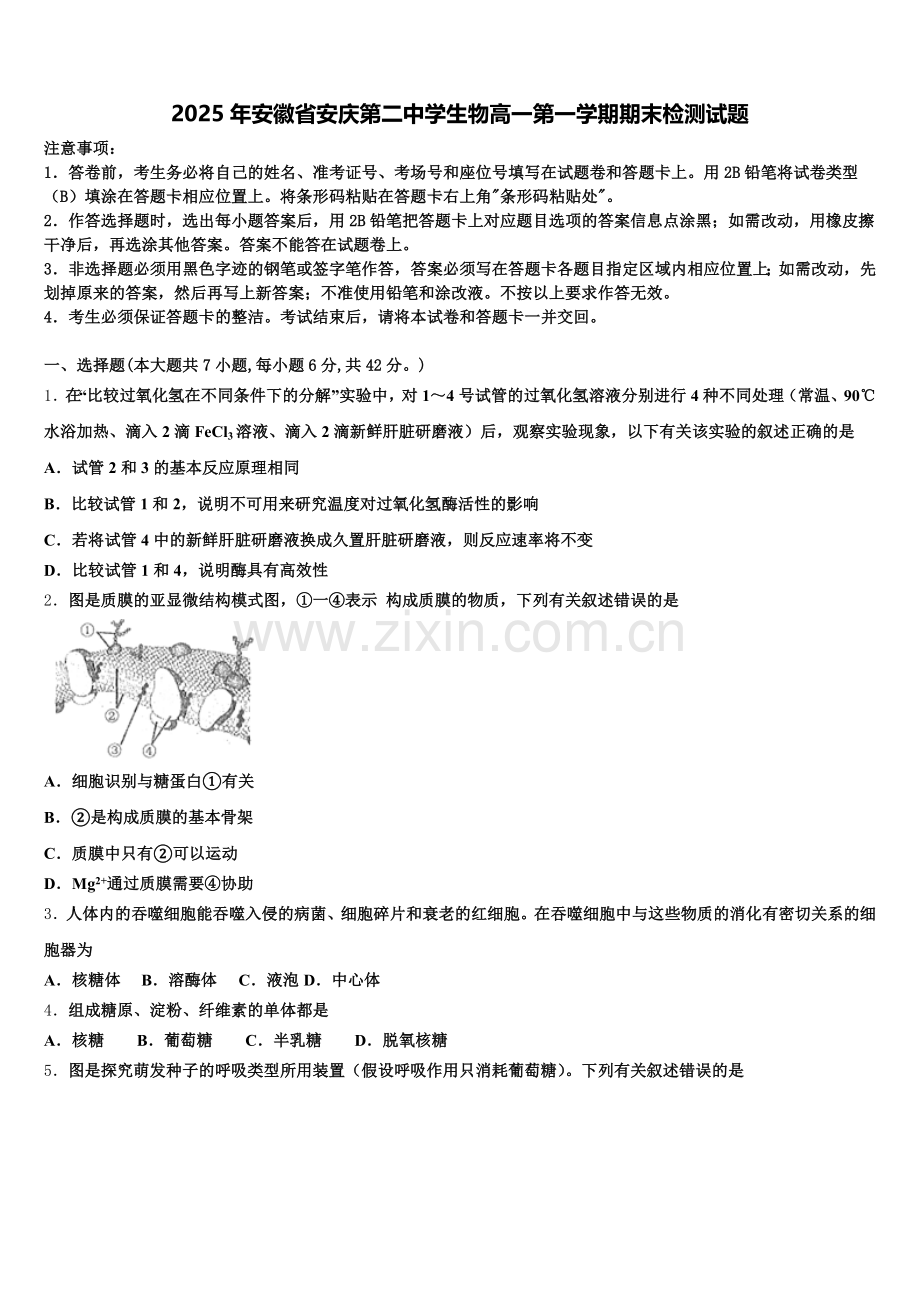 2025年安徽省安庆第二中学生物高一第一学期期末检测试题含解析.doc_第1页