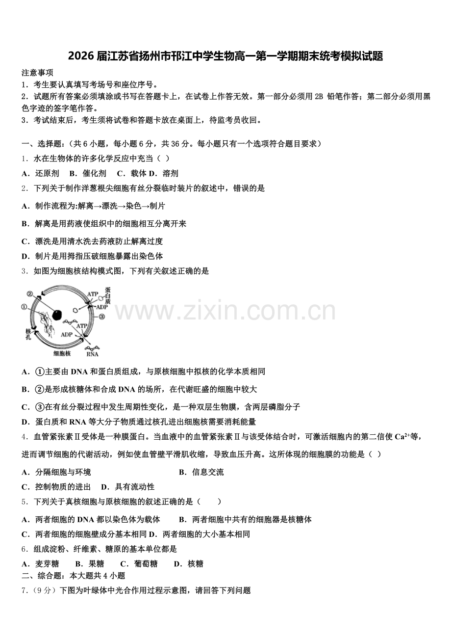2026届江苏省扬州市邗江中学生物高一第一学期期末统考模拟试题含解析.doc_第1页
