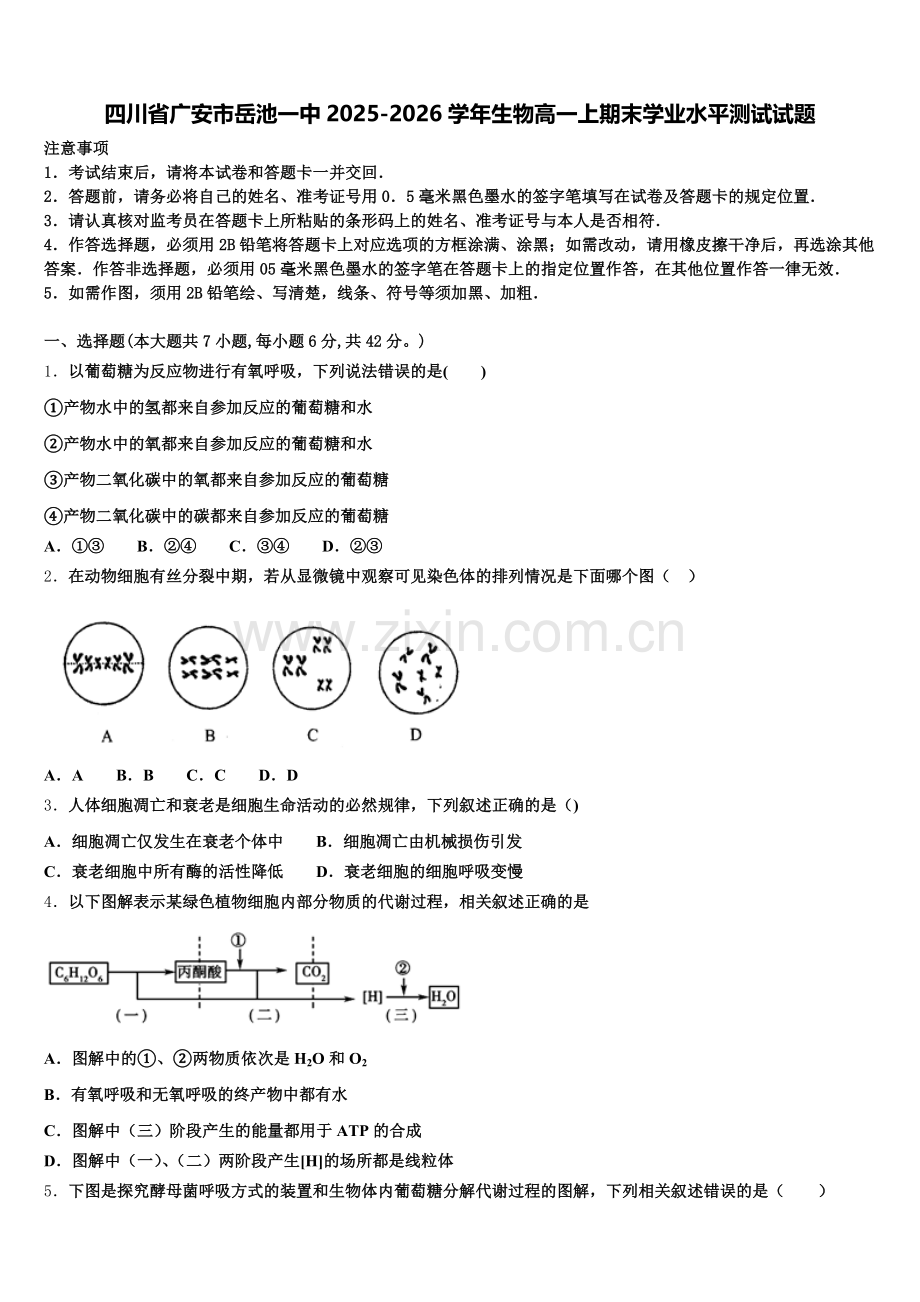 四川省广安市岳池一中2025-2026学年生物高一上期末学业水平测试试题含解析.doc_第1页