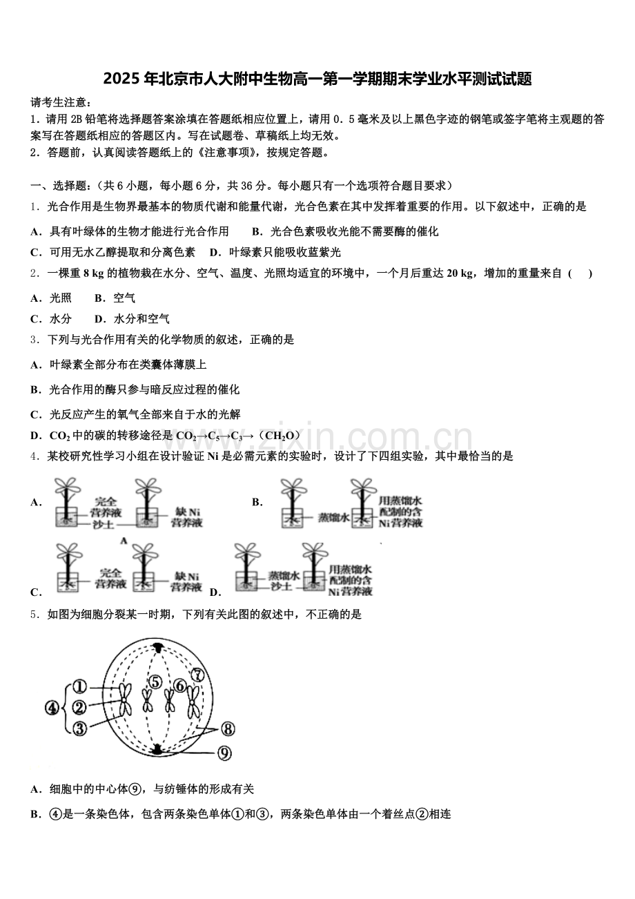 2025年北京市人大附中生物高一第一学期期末学业水平测试试题含解析.doc_第1页