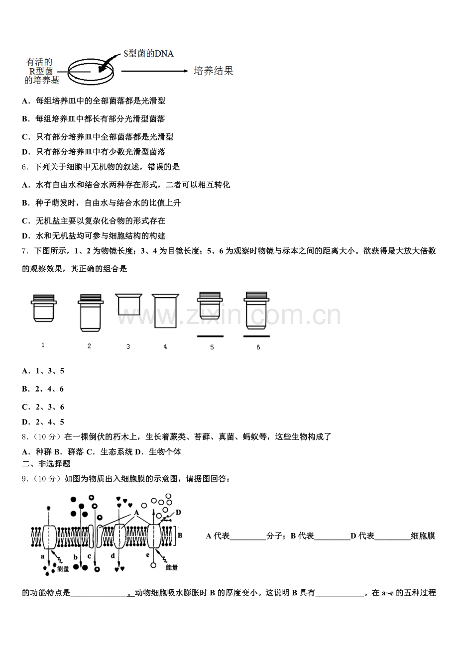 2025年山东省泰安一中、宁阳一中生物高一第一学期期末考试试题含解析.doc_第2页